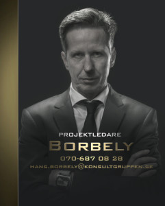 konsult_borbely